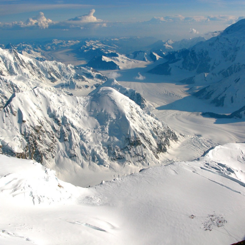 Meet your Posher, Denali